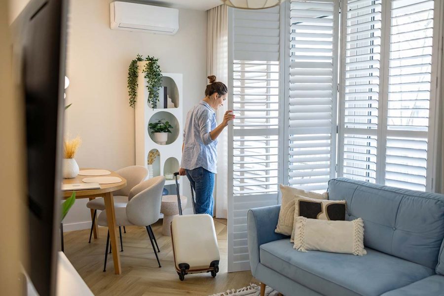 Уровень цен и покупательная способность румын